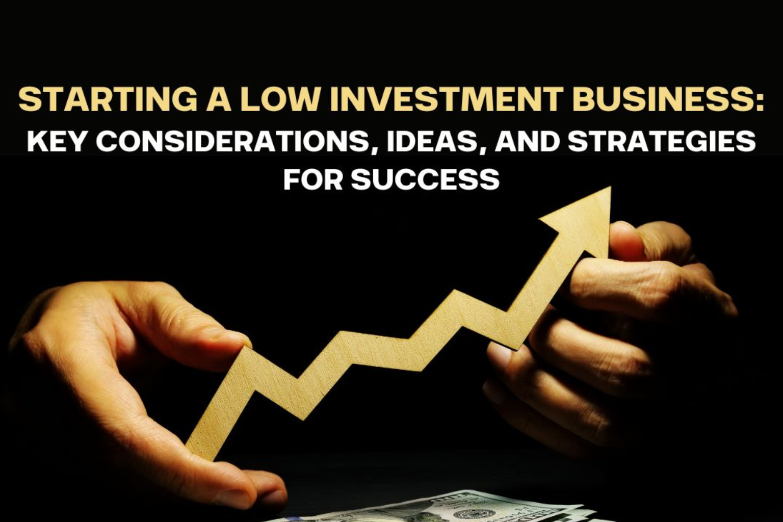 Low Investment Business