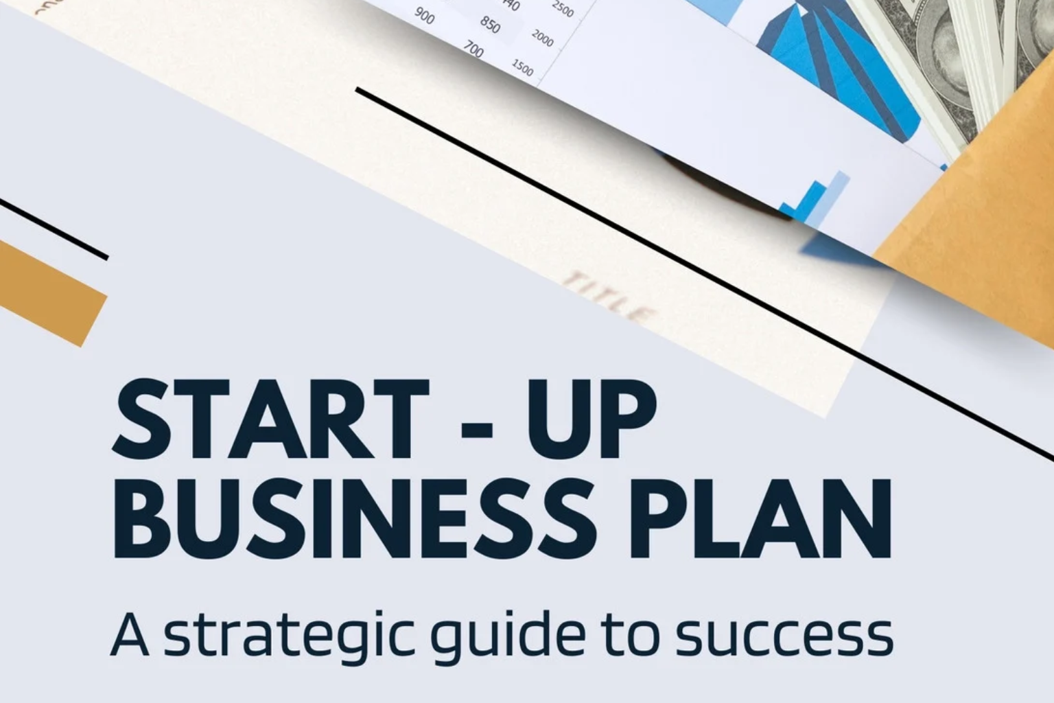 Business Plan for a Low Cost